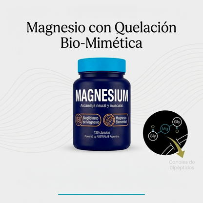 MAGNESIUM – Andamiaje neural y muscular