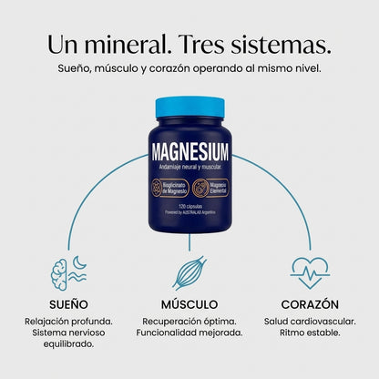 MAGNESIUM – Andamiaje neural y muscular
