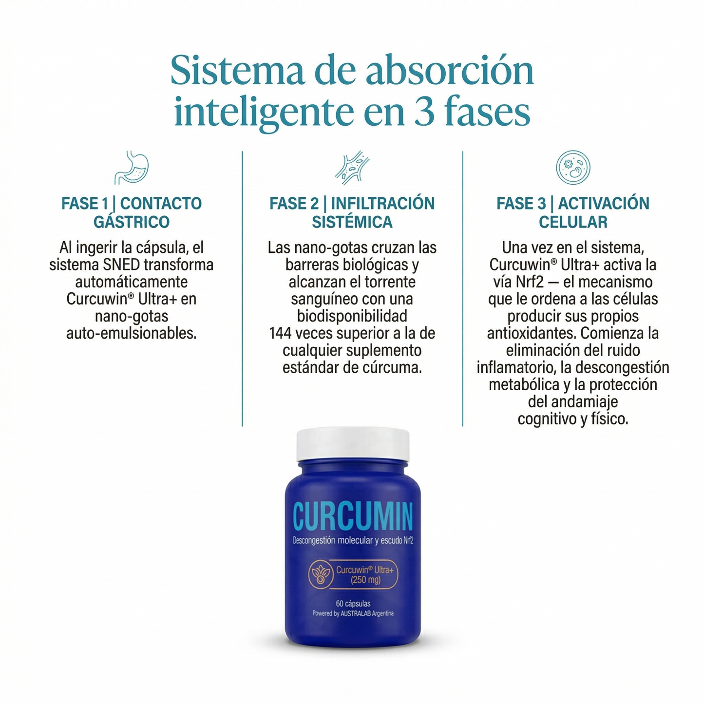 CURCUMIN — Sistema de Descongestión Molecular