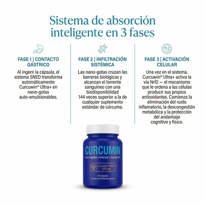 CURCUMIN — Sistema de Descongestión Molecular