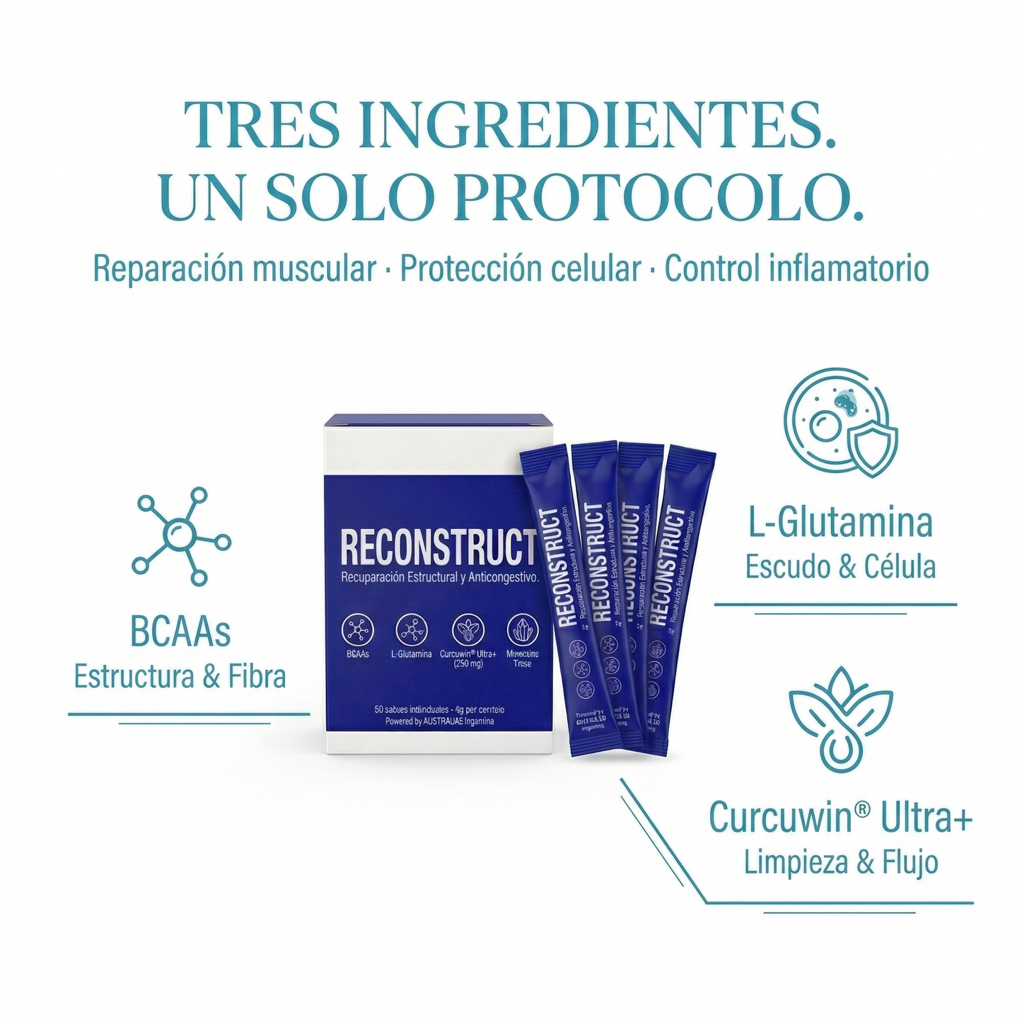 RECONSTRUCT — Sistema de Recuperación estructural completa