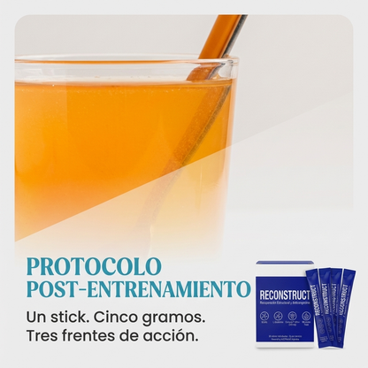 RECONSTRUCT — Sistema de Recuperación estructural completa
